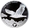 20 франков 2021 года Конго (ДРК) «Белоголовый орлан»